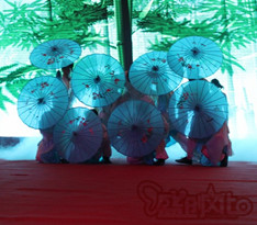 武術(shù)舞蹈《竹韻》7